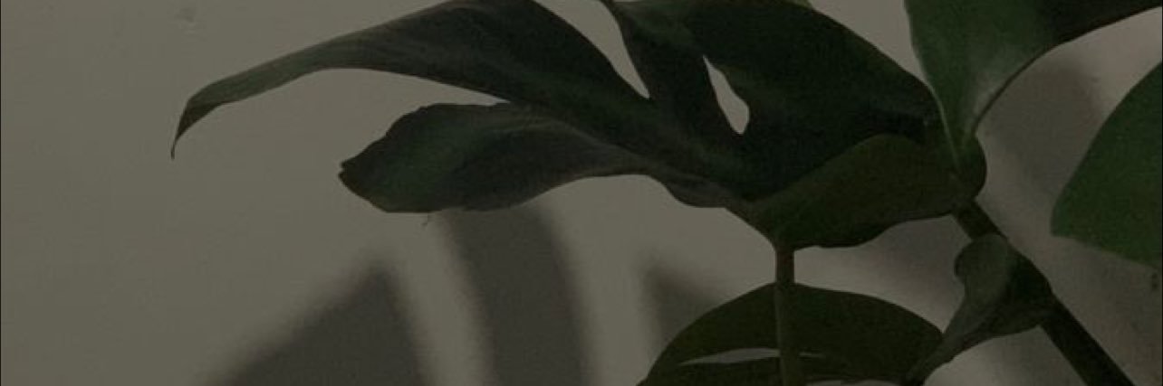 gmeezz__'s profile banner image