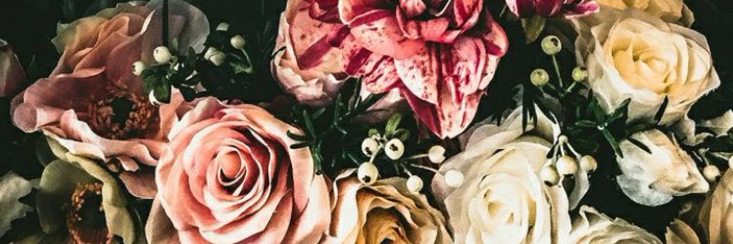 Micachaamorro's profile banner image