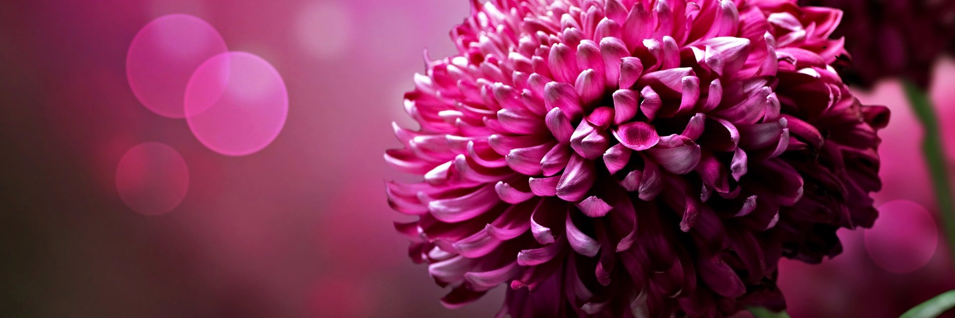 sjbhatnagar's profile banner image