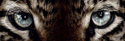 IndictThatFckr's profile banner image