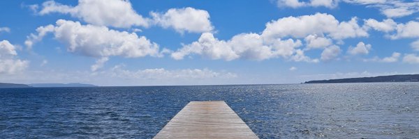 buzz_tkc Profile Banner