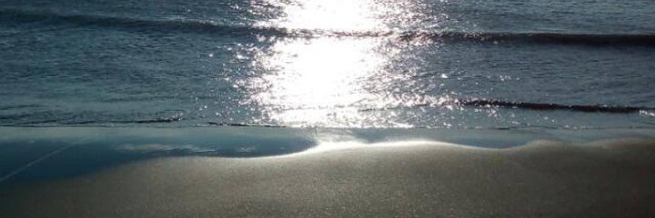 DoganerTurkan's profile banner image