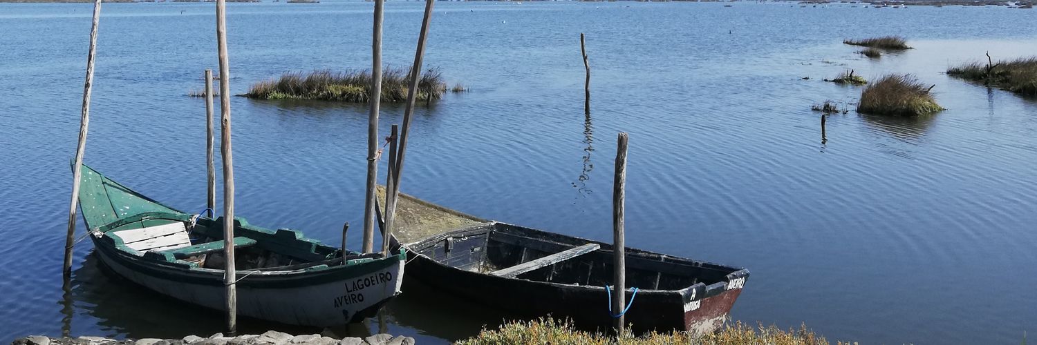 Pedro Valente banner