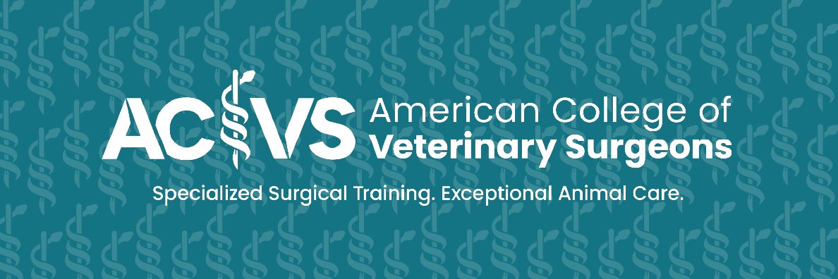 TheACVS's profile banner image