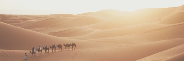 Apache Camel profile