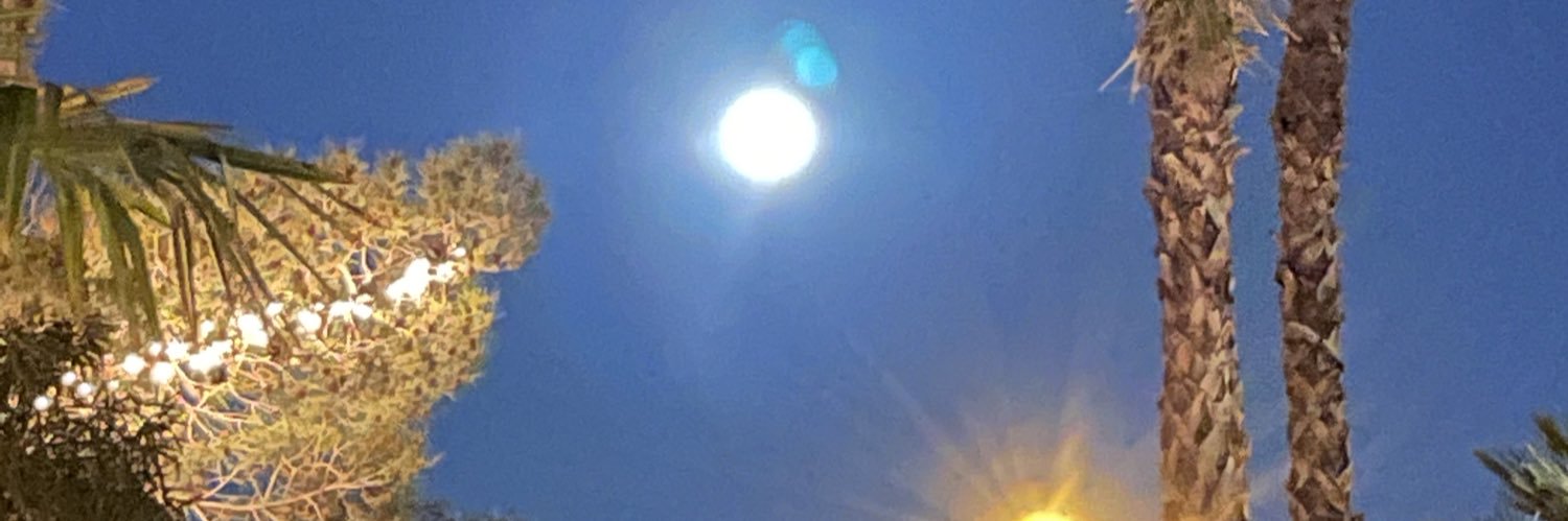 ellen_fumo's profile banner image