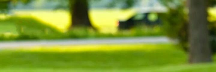 tofail_haque's profile banner image