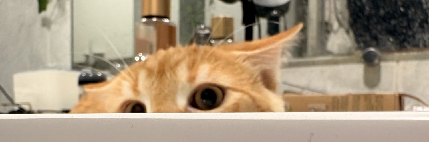 M0ji banner