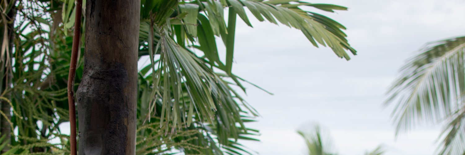 Adalbertoosma's profile banner image