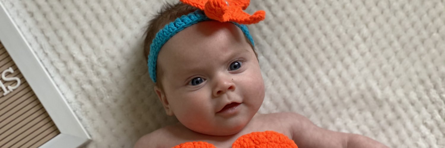 willow_arnoldd's profile banner image