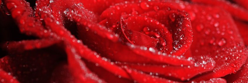 ROZALI.com banner