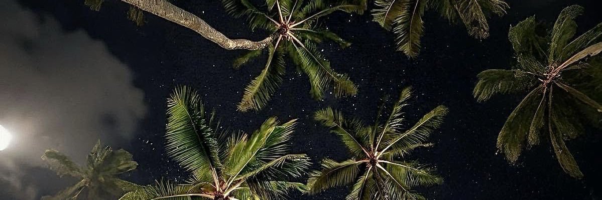 proreeeem's profile banner image