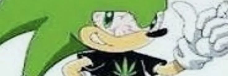 🐱El gato amargado🐱's banner