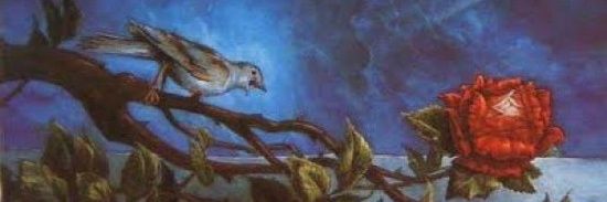 🟣Ingeniera Arecrón 🦇 banner