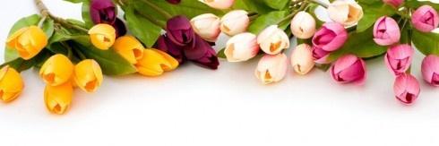 ManalElSayed's profile banner image