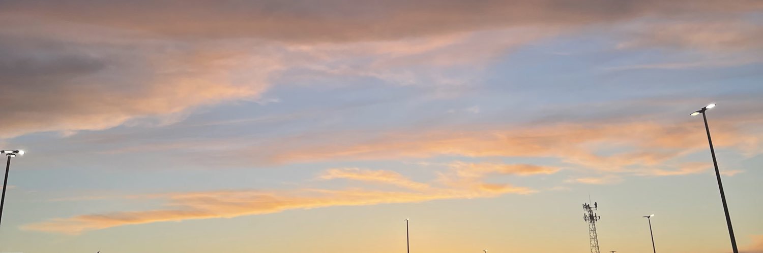 brinney_'s profile banner image