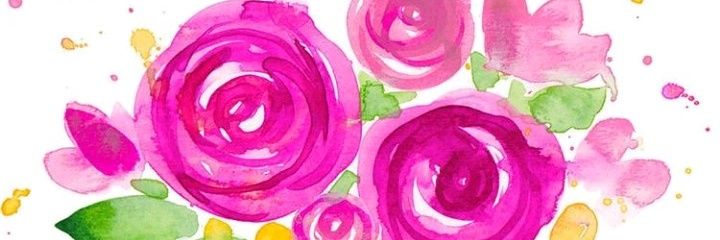 sofii15720342's profile banner image