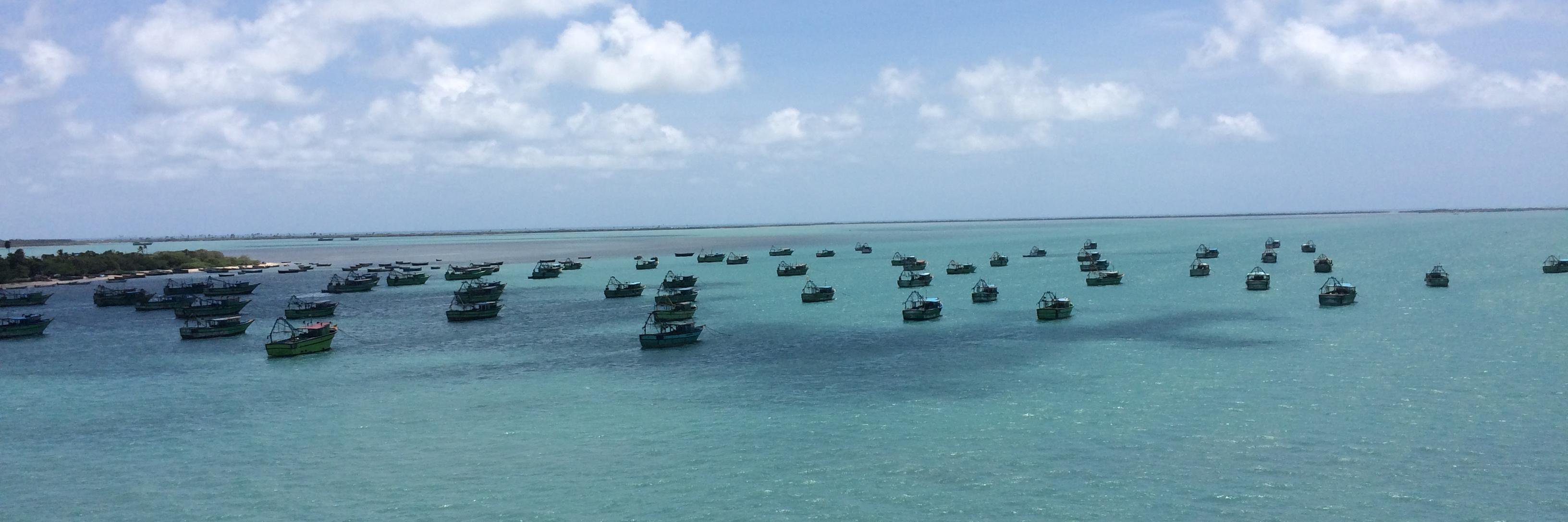 Aashish Solanki banner