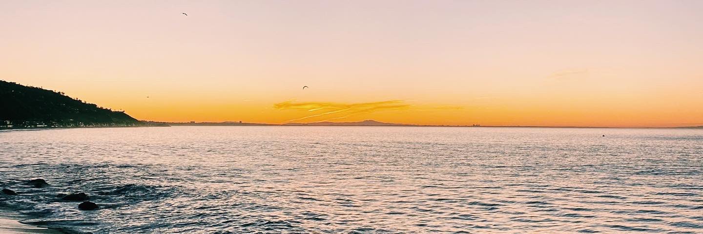 maggmooo's profile banner image