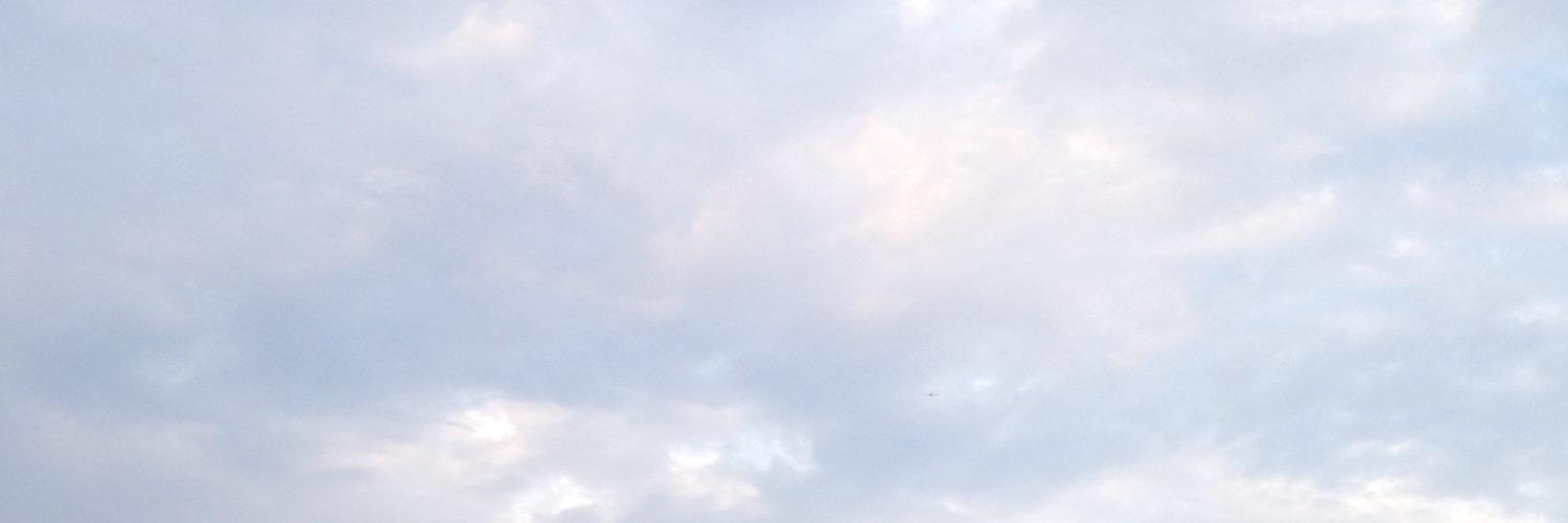 louisftmalum's profile banner image