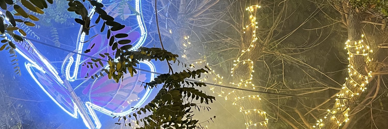 sergiopf1999's profile banner image