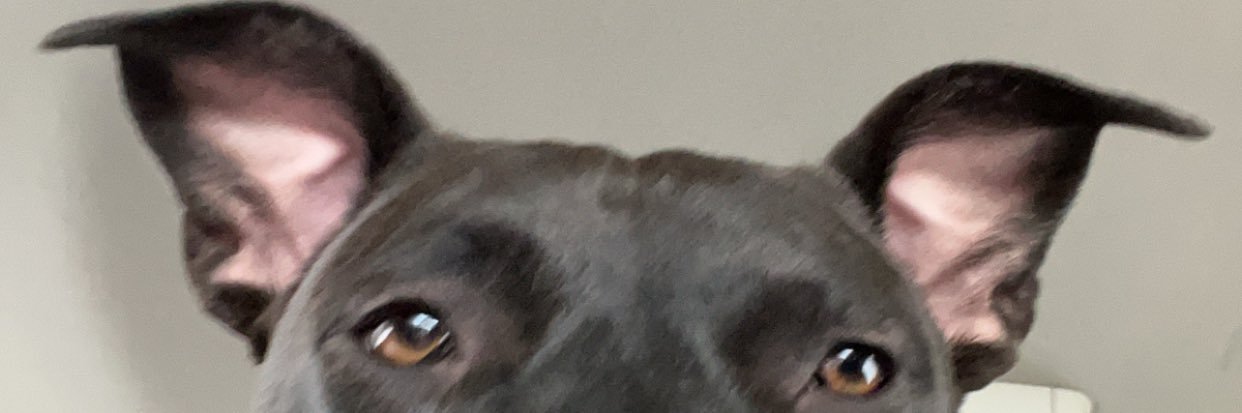 emjojo23's profile banner image