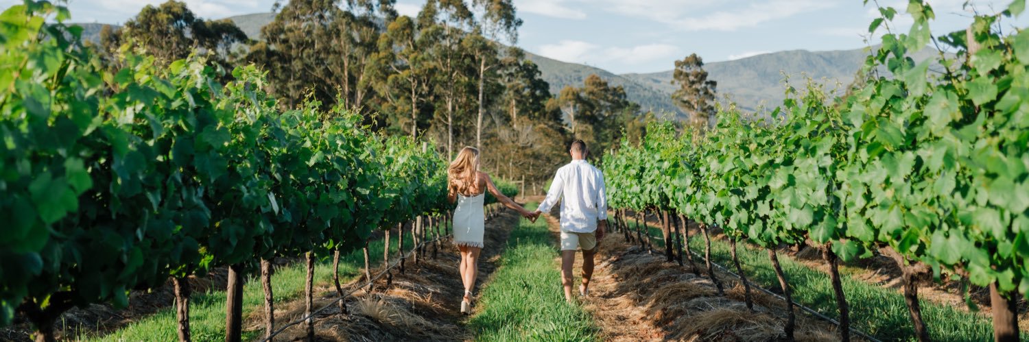 Robyn Macleod banner