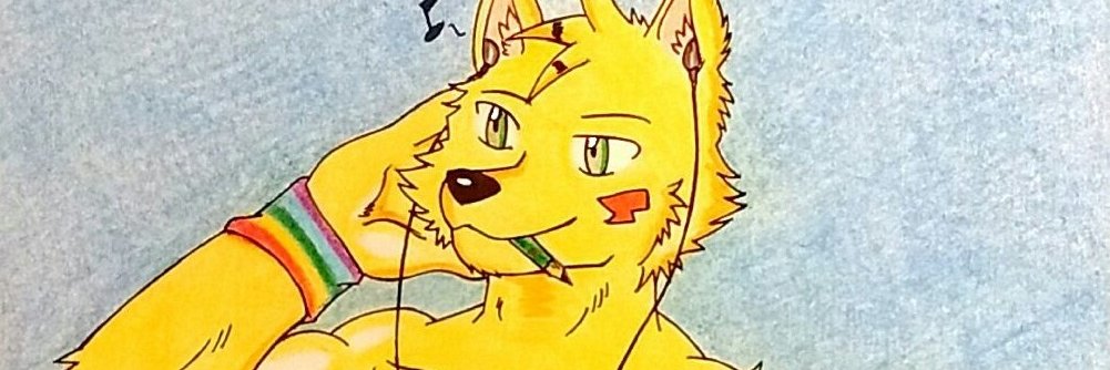 Dashthefox banner