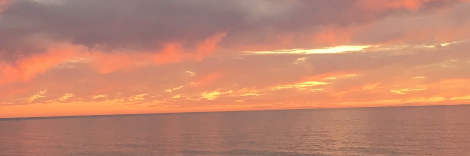 MRnped's profile banner image