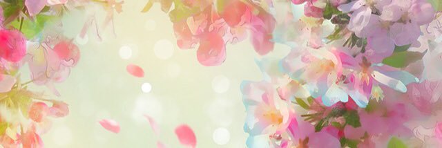 diaakovcs's profile banner image