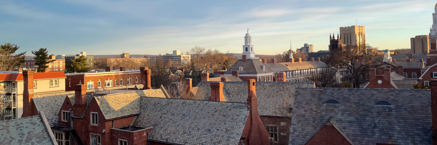 Seulki Lee-Geiller, PhD banner