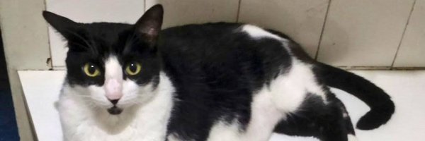 lcgraciano Profile Banner