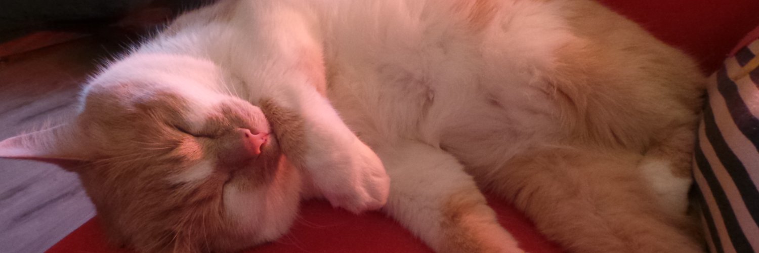 Steph Lovell-Powell banner