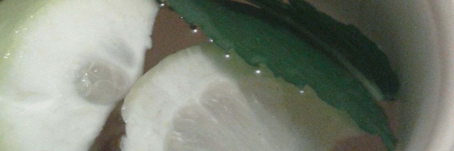 resistirsiosi's profile banner image
