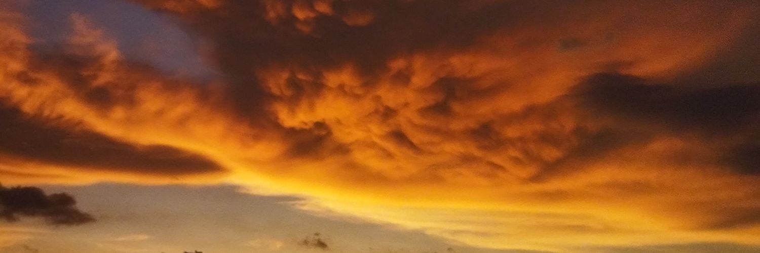 bittterc_'s profile banner image