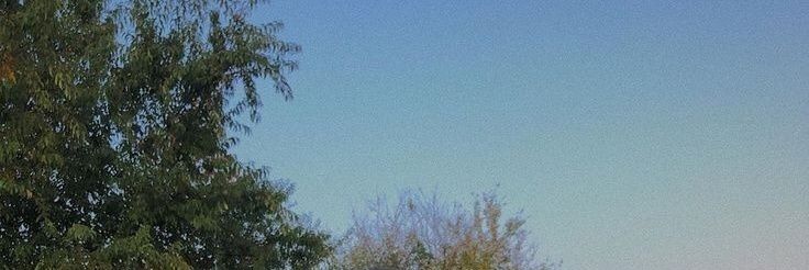 Marie_successGo's profile banner image