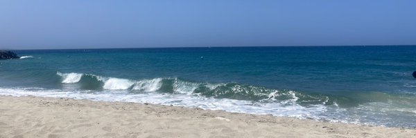 paoladealeman Profile Banner