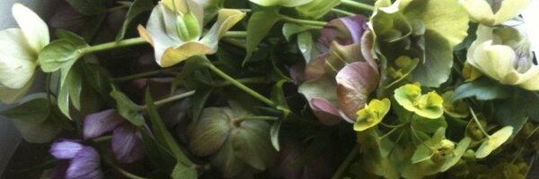 mirandajharvey Profile Banner