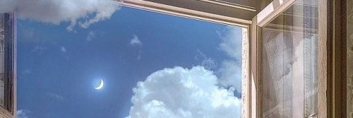 Amber Dawn banner