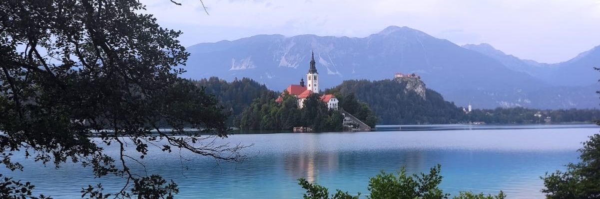 Paula García banner