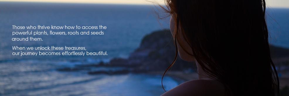 lifeinblush's profile banner image