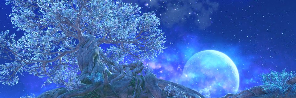 _sellia_'s profile banner image