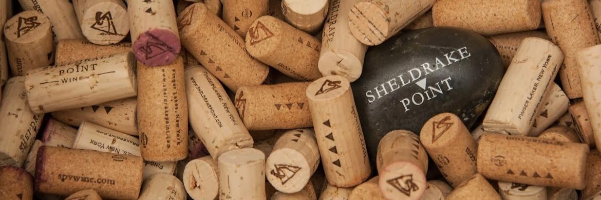 SheldrakePoint's profile banner image