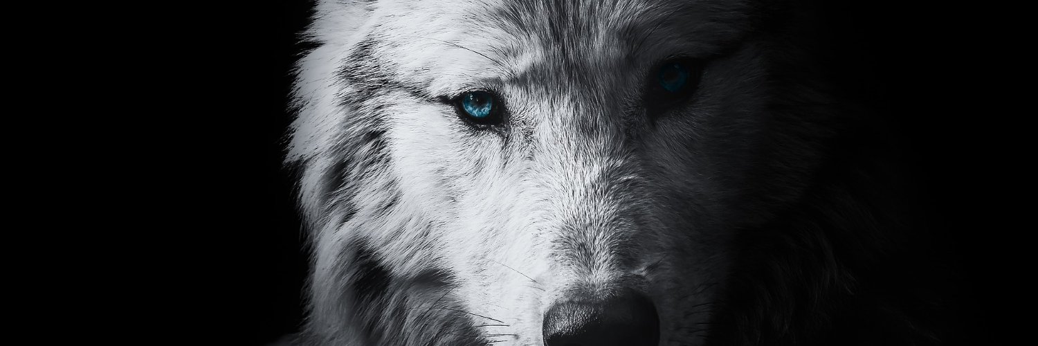 chickinwhite's profile banner image