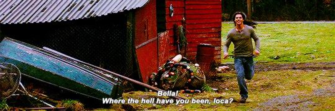 Bella banner