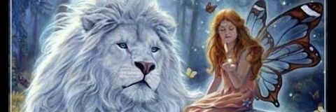 Resedad's profile banner image