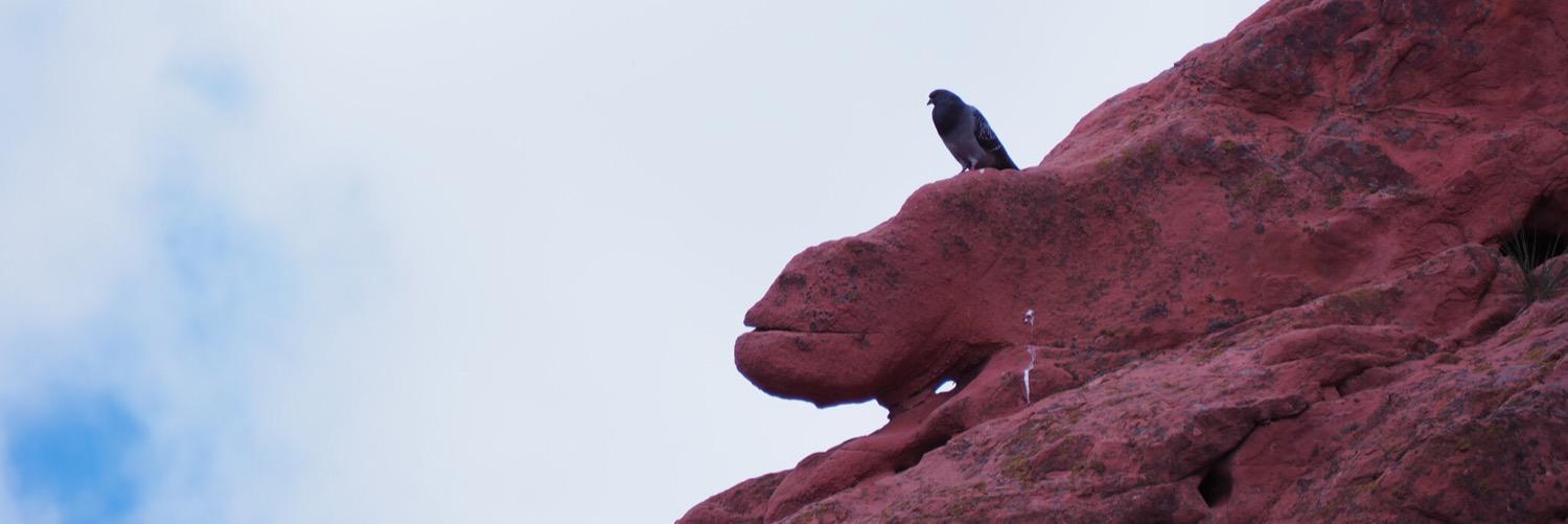 ScottAumann's profile banner image