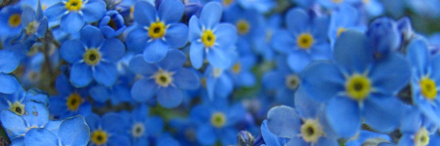 FergusJKM's profile banner image