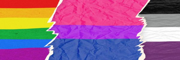 LGBTQ_Econ Profile Banner