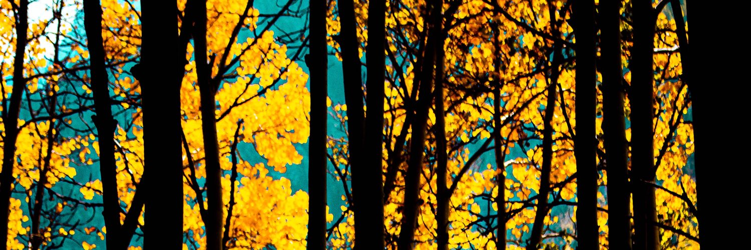 Skyleere's profile banner image